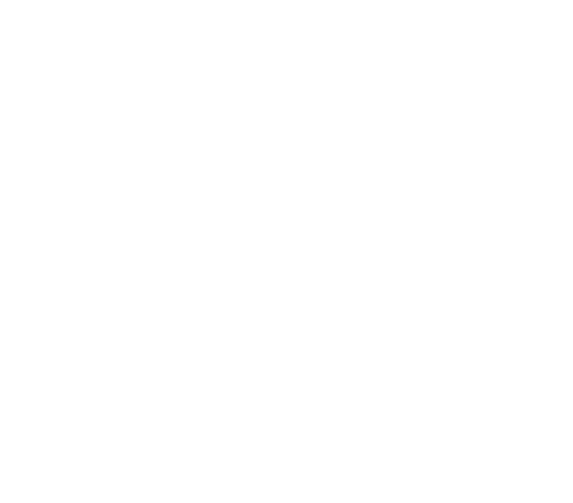 Schmitz Agence Web